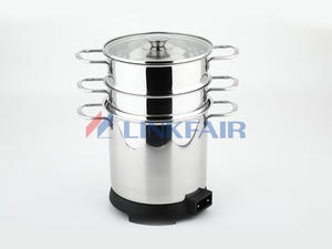 6QT Electric Spaghetti Pot