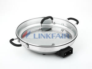 12"  Electric Pan