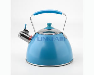 Color Painting Kettle | Stainless Steel Tea Kettle - Linkfair